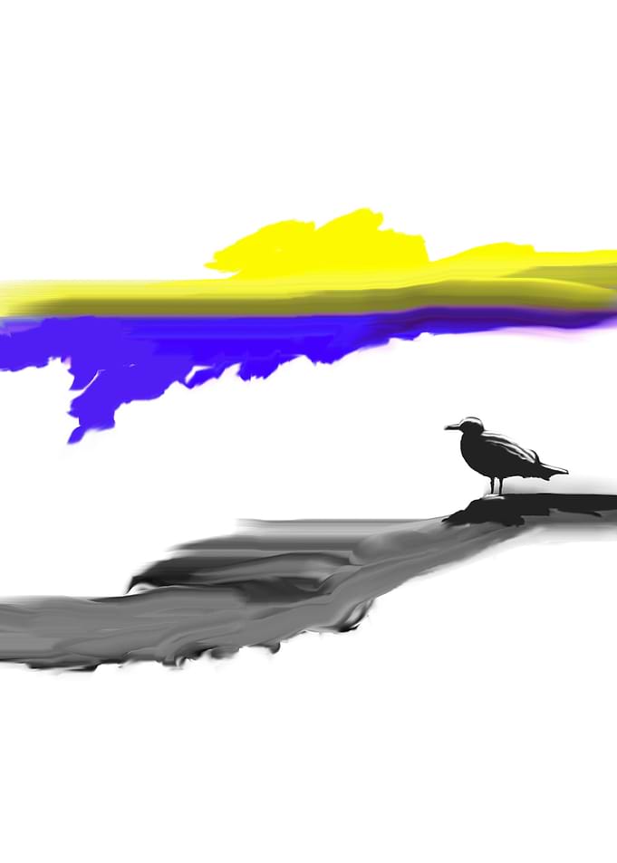 Seagull2