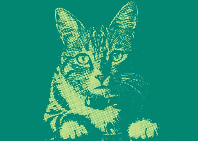 Pop Art Cat Deep green
