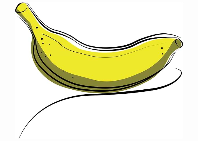 Tropical fruit Banana