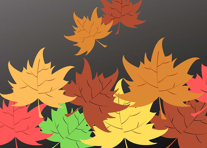 Autumn Series 6