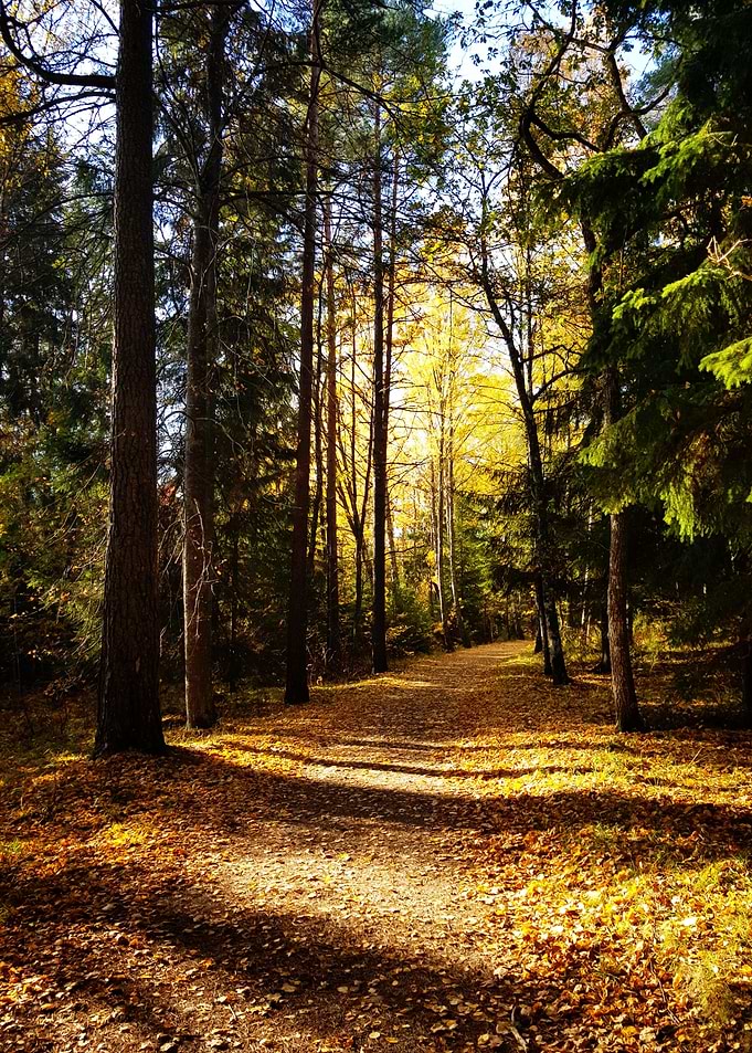 Path to Nowhere