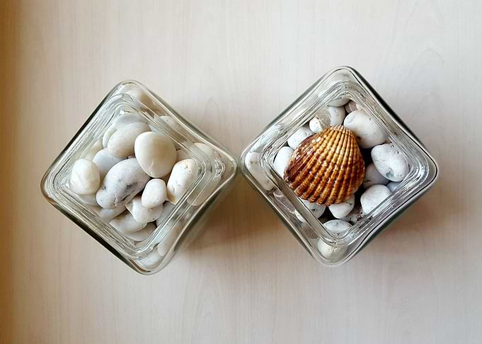 Sea stones and shell