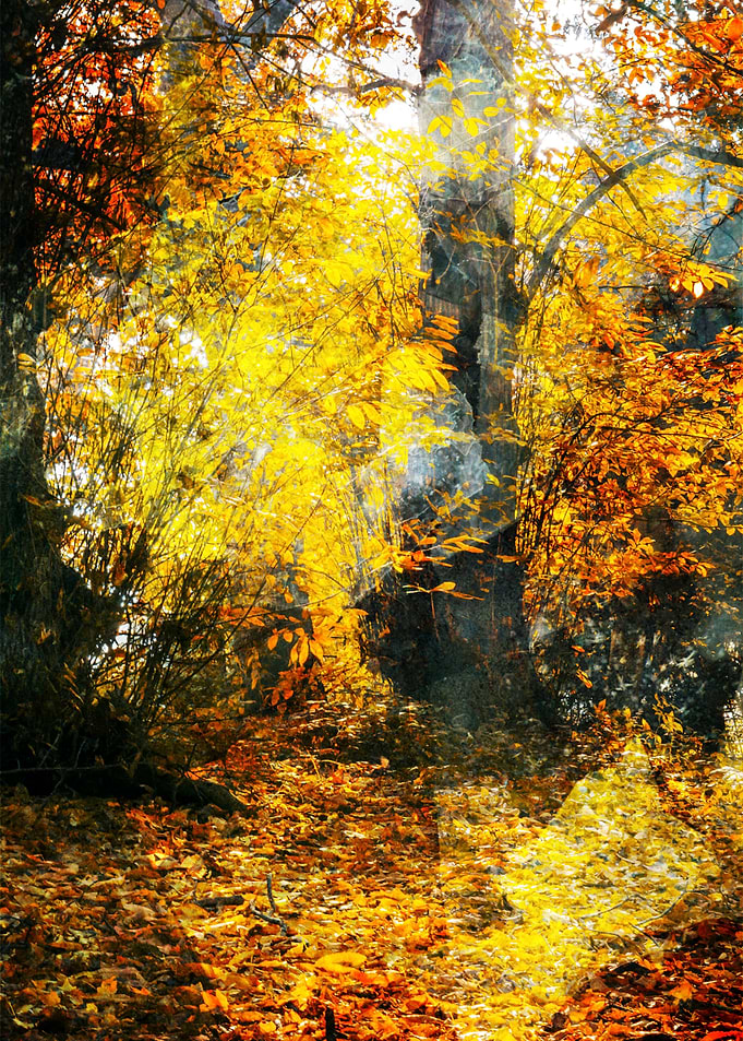 Autumn II