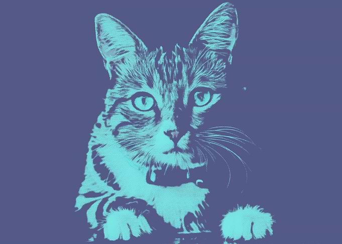 Pop Art Cat Soft Navy