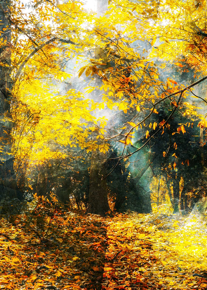Autumn III
