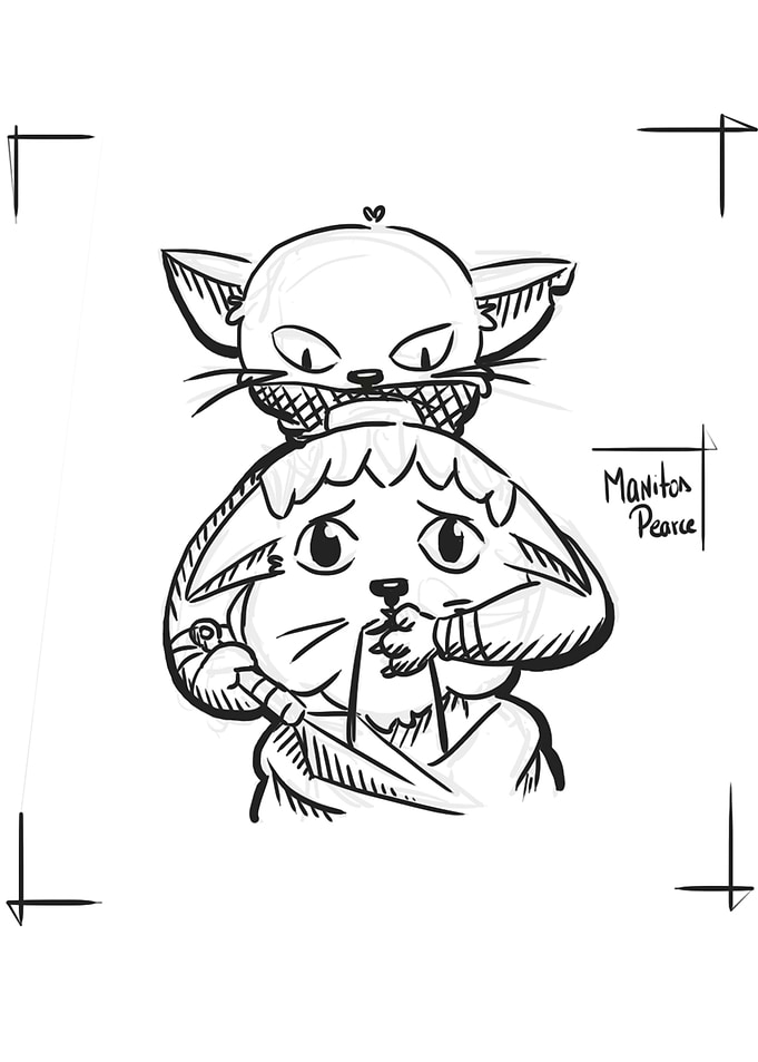Ninja cat