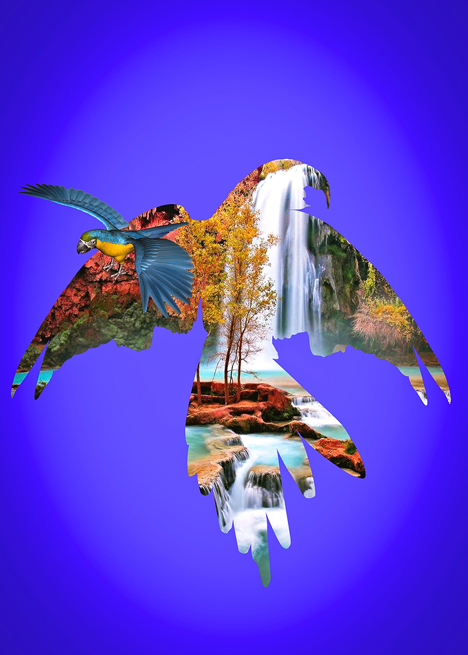 Bird Love