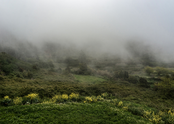 Field in Clouds