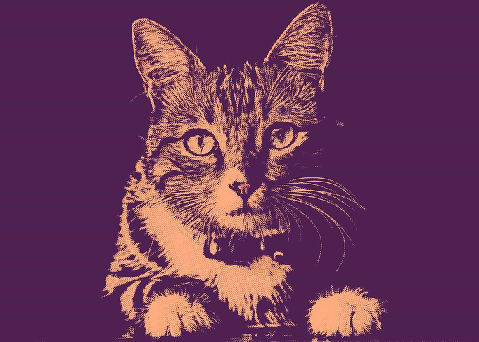 Pop Art Cat Scarlet Gum
