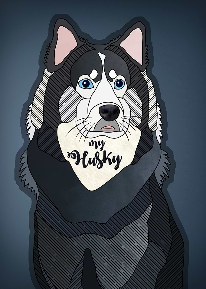 My Husky