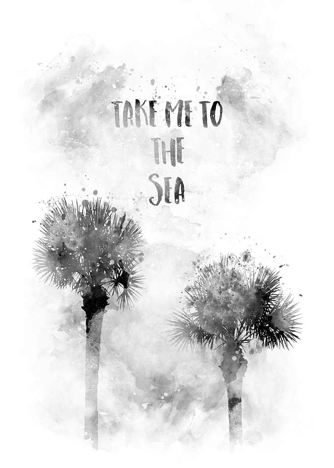 TAKE ME TO THE SEA