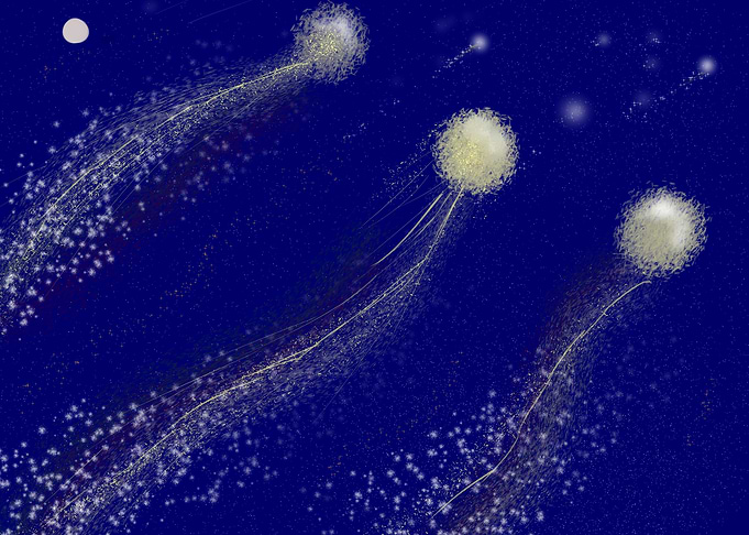firework