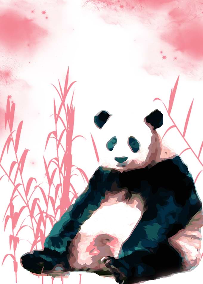 Panda and Bamboo