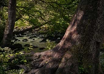 Brock Bottom 1