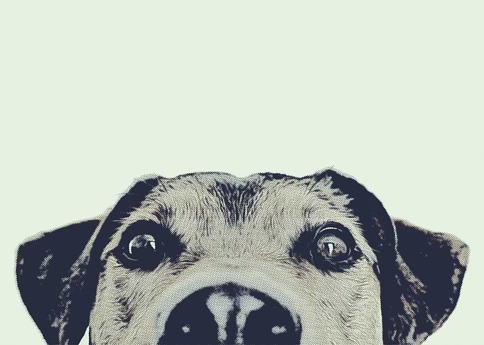 Pop Art Dog Gray