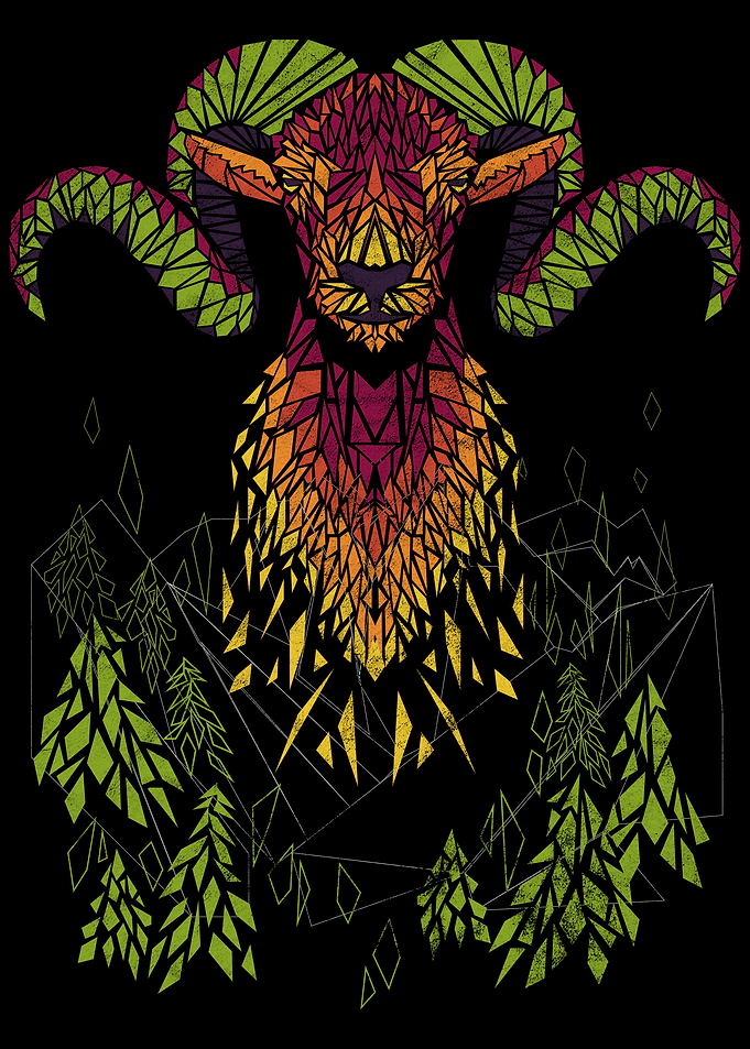 Ram Shatter Distressed