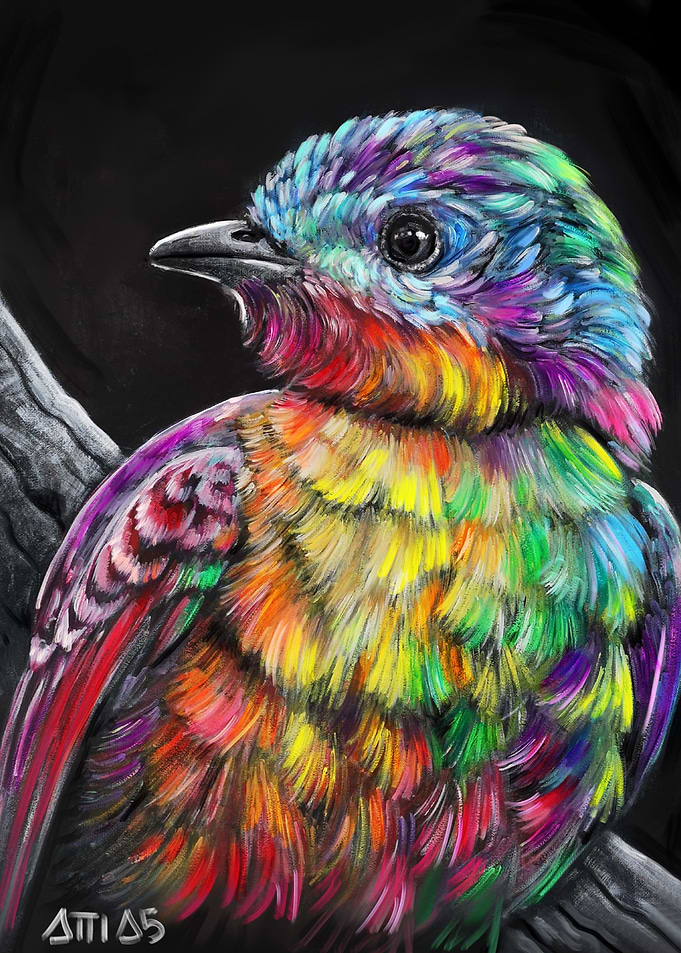 BIRD COLOR