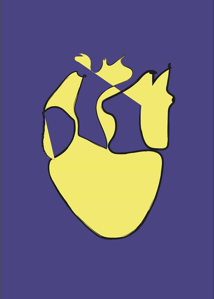 Heart3