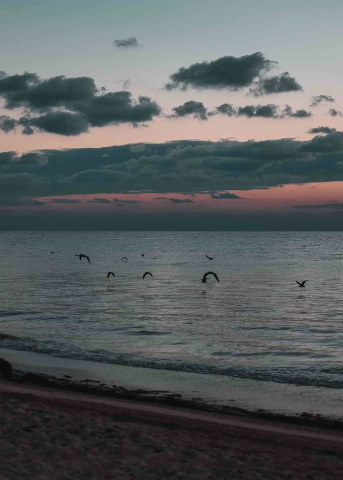 Early Bird Gets The Worm