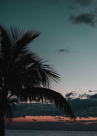 Island Vacation Sunrise