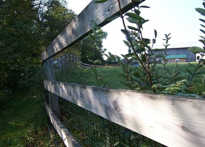 Fenced in