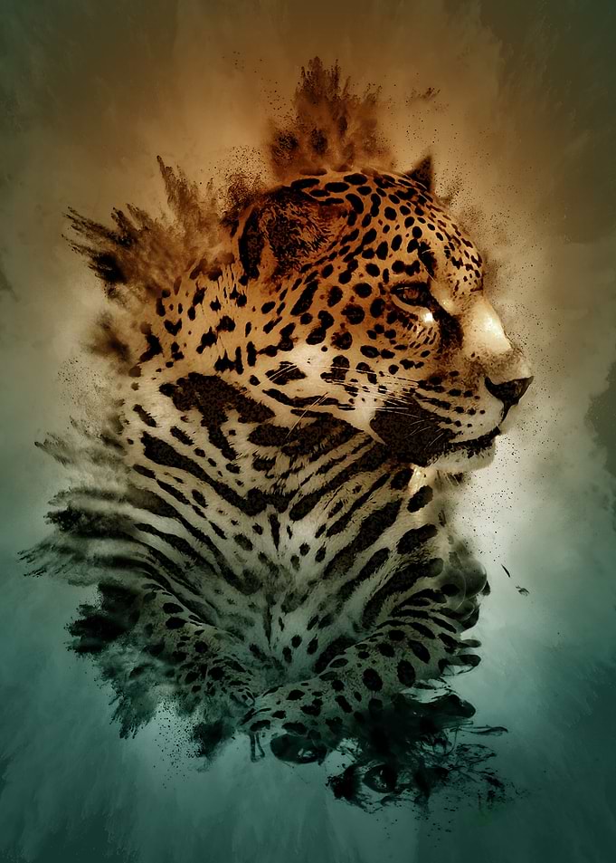 Leopard Colour Burst