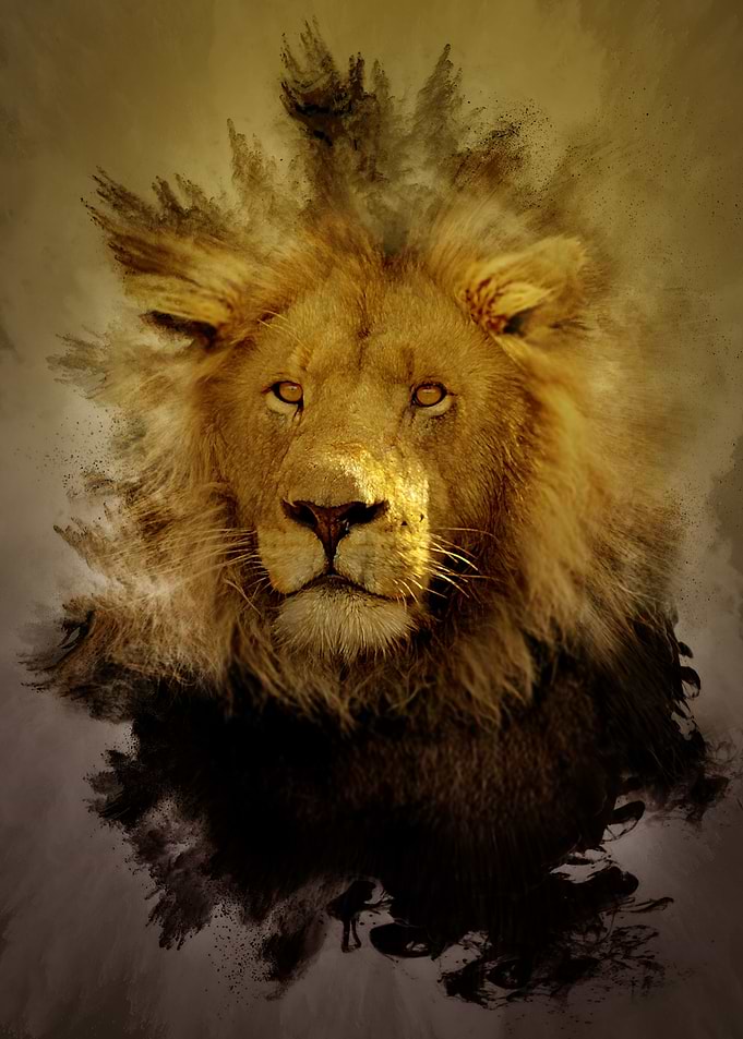 Lion Colour Burst