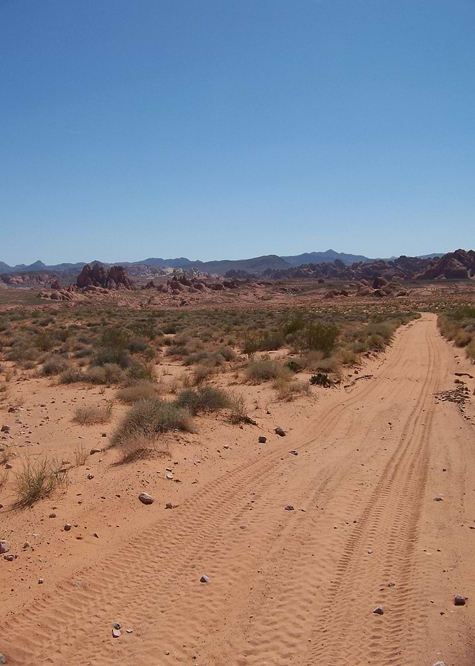 Tracks