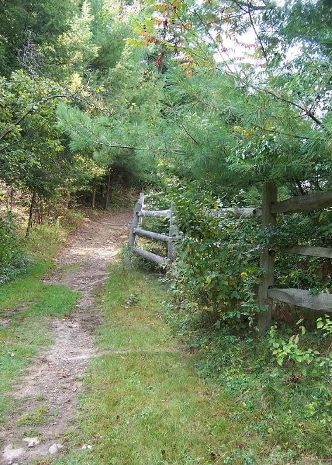Trail