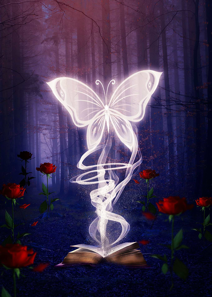 Magic Of Books
