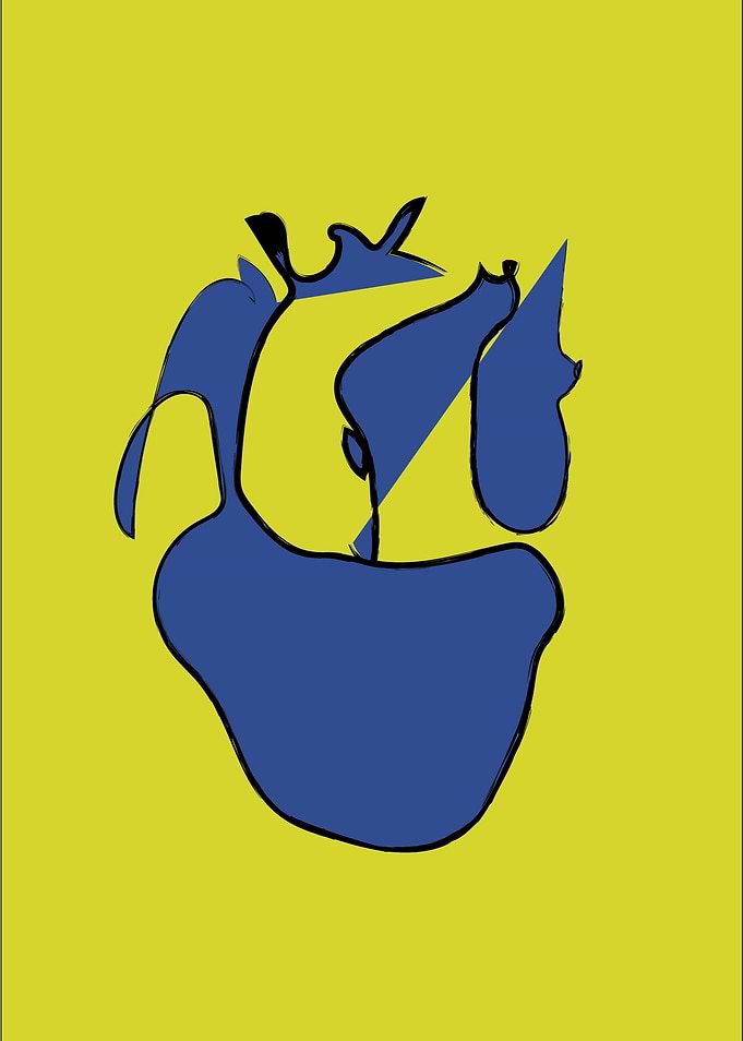 heart
