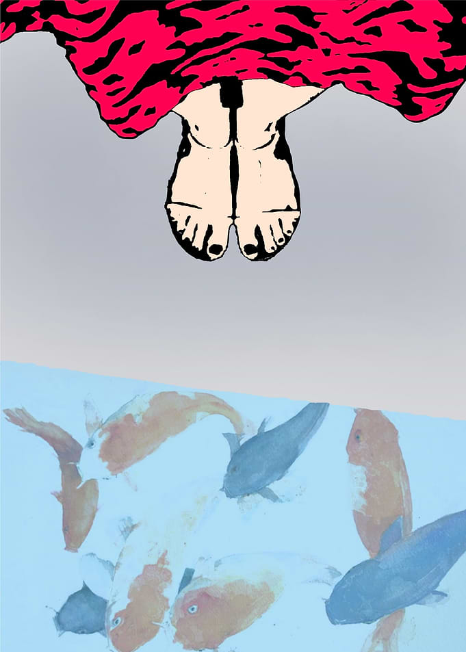 Look at the fish