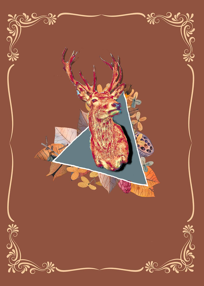 Stag Deer Autumn Fall