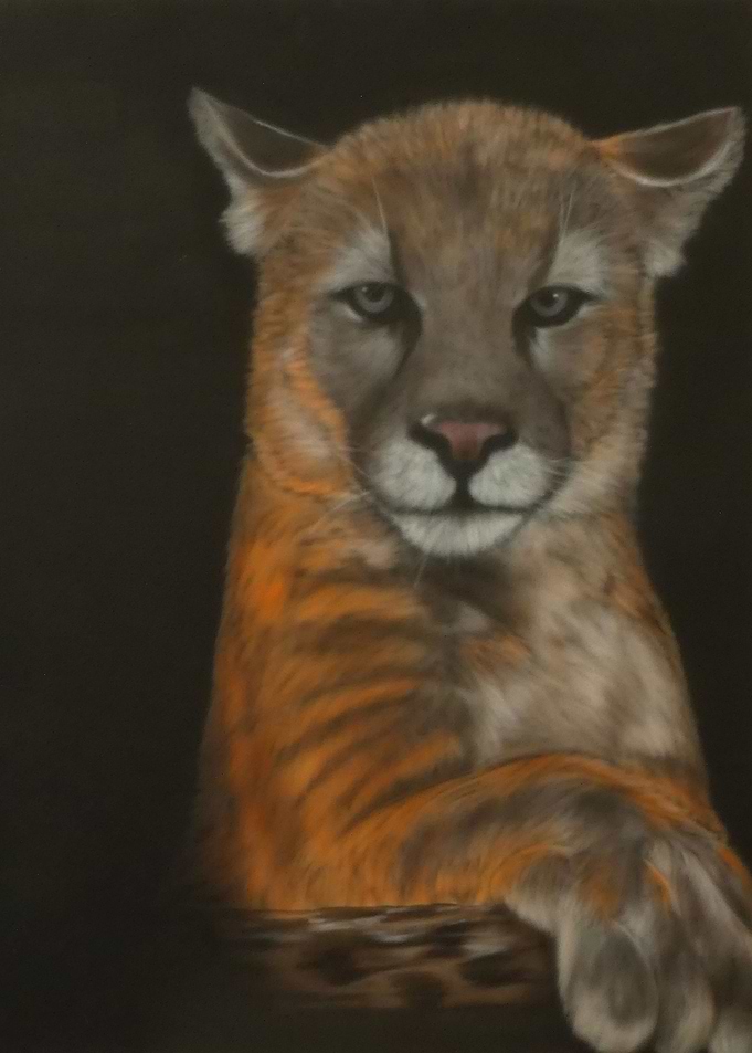 Beau