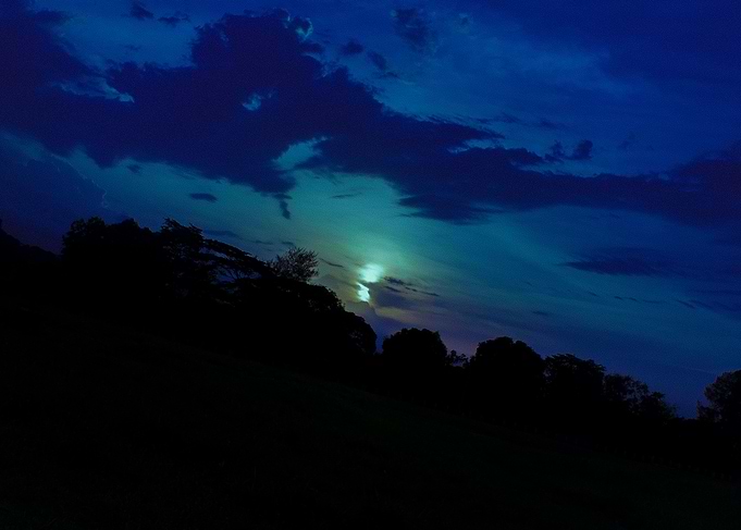 NIGHTSCAPE