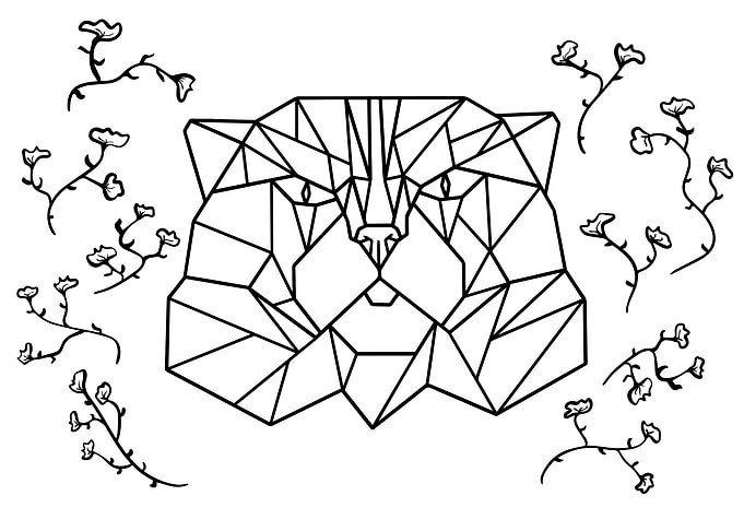 Geometric cat