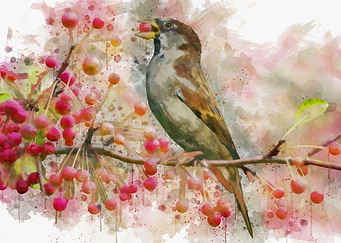 Bird Eating Berries
