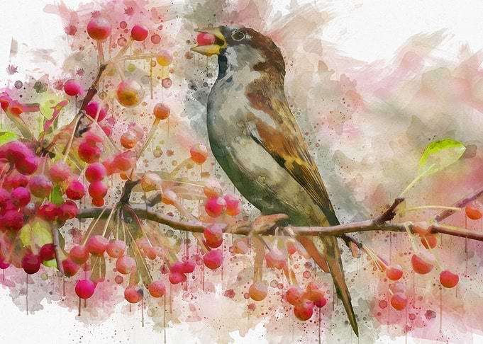 Bird Eating Berries