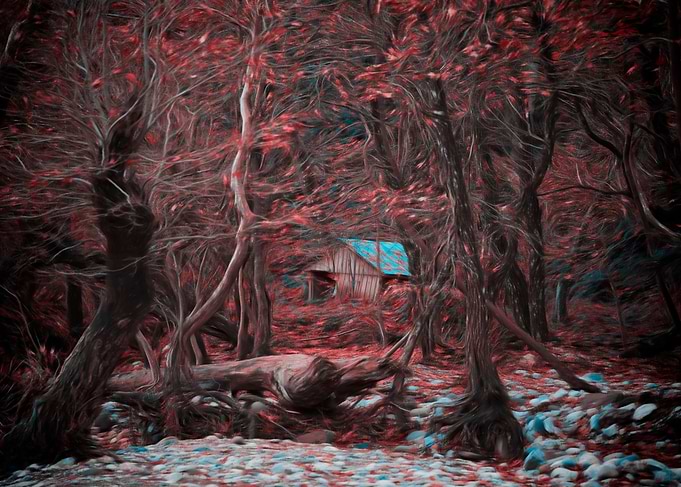 Fantasy Little Home