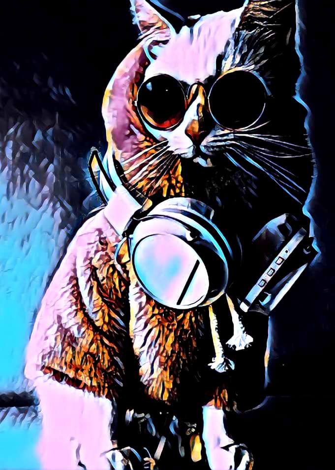 Cool Cat