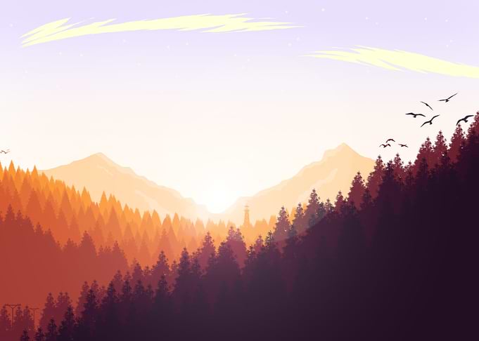 Sunset at Forest