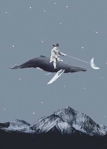 Aim for the moon