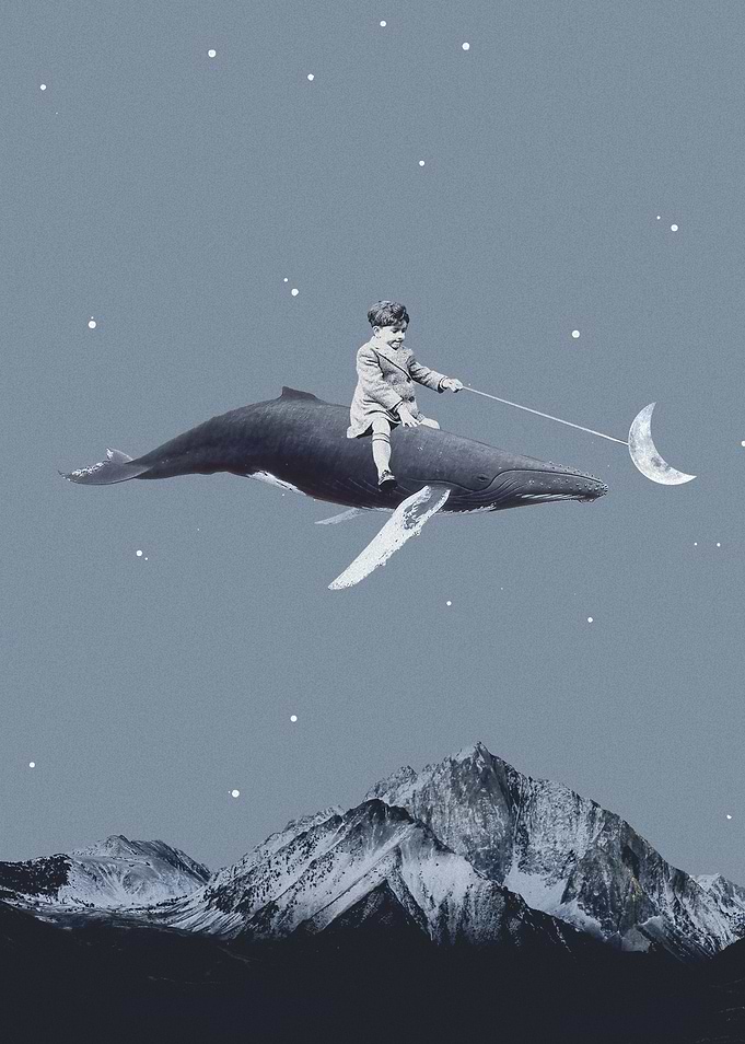Aim for the moon