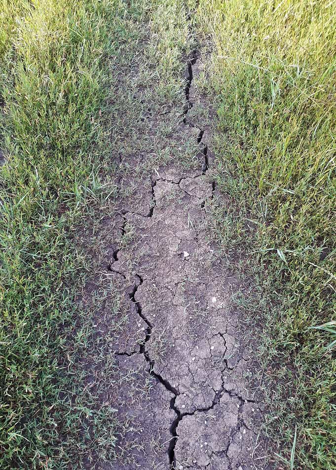 Summer soil