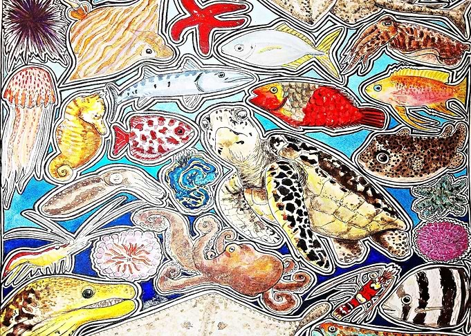 Marine life and animals
