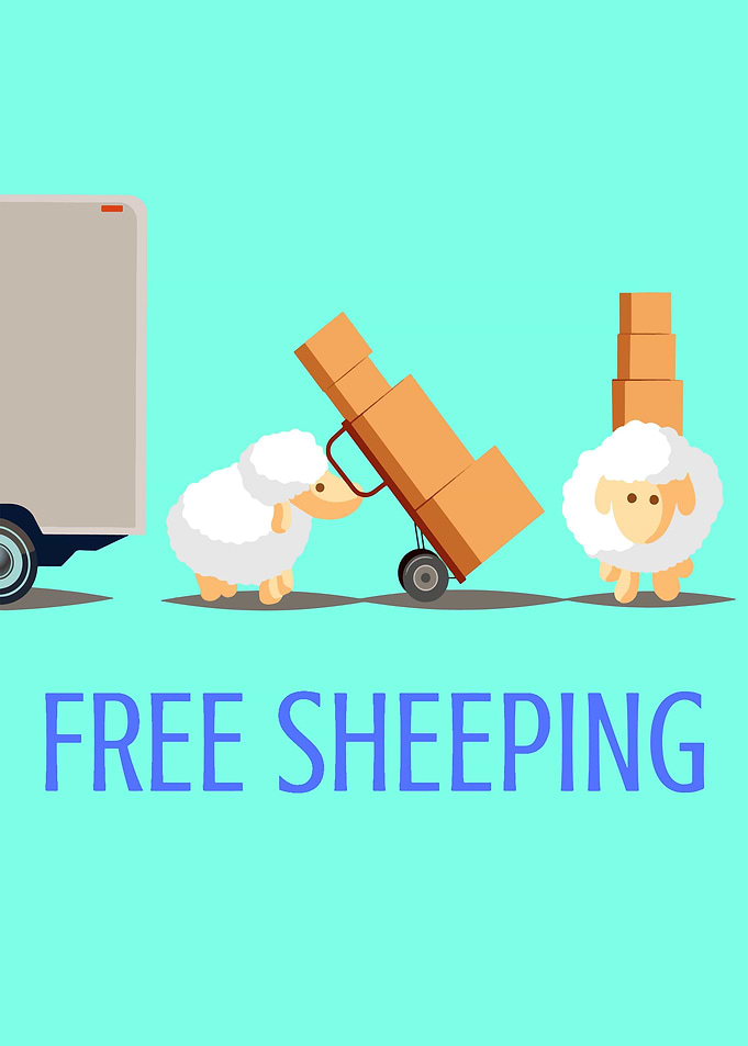 Free Shipping