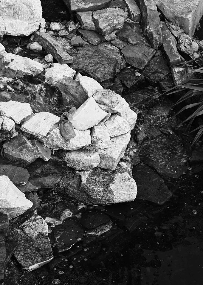 The Beauty That Is Hidden