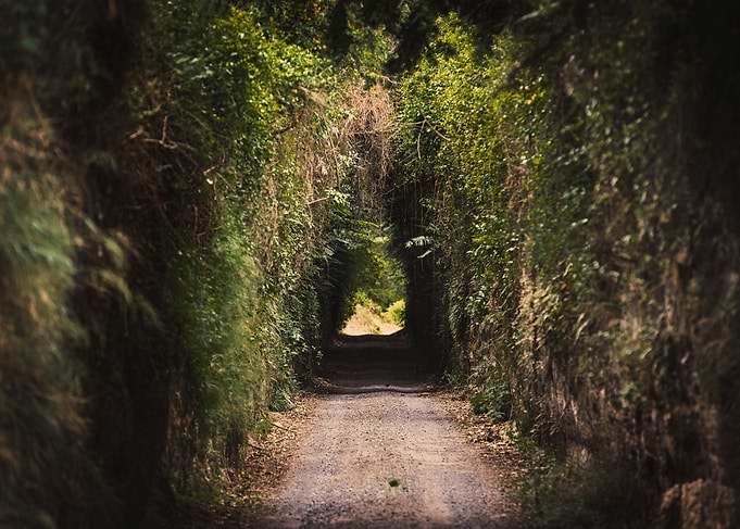 Road to Somewhere