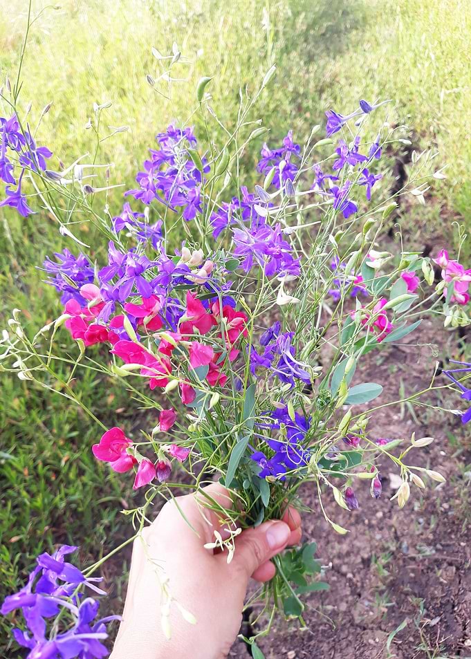 Violet June bouquet