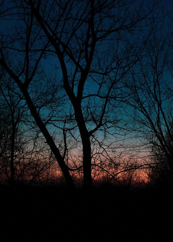 Peaceful and Dream Scenes